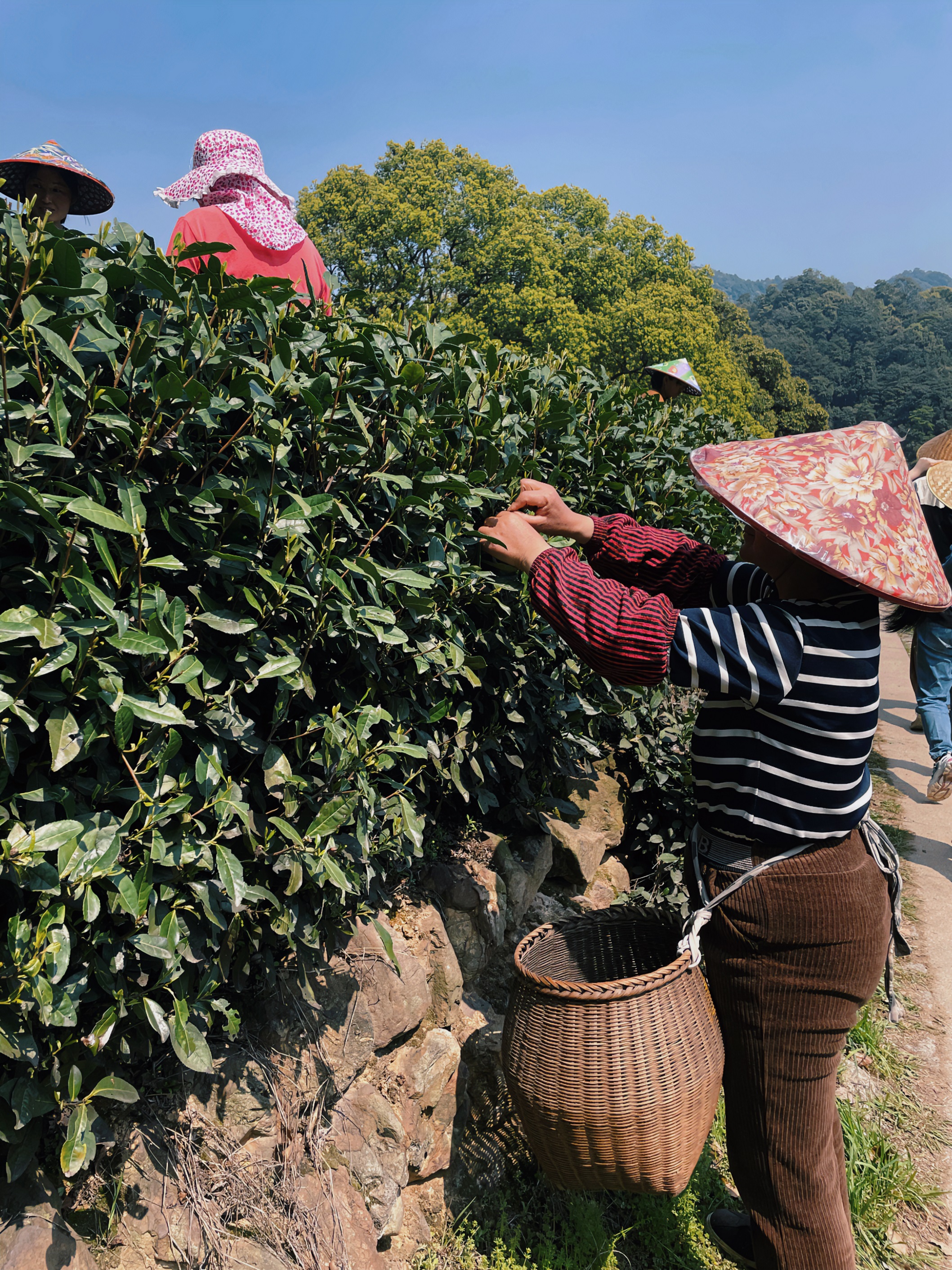 one体育
集团国贸六部联合举办“以茶之名”茶酒文化交流活动